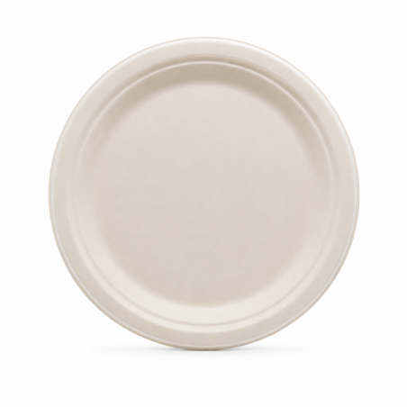 Biodegradable Round Plate No. 22 * 20 pcs