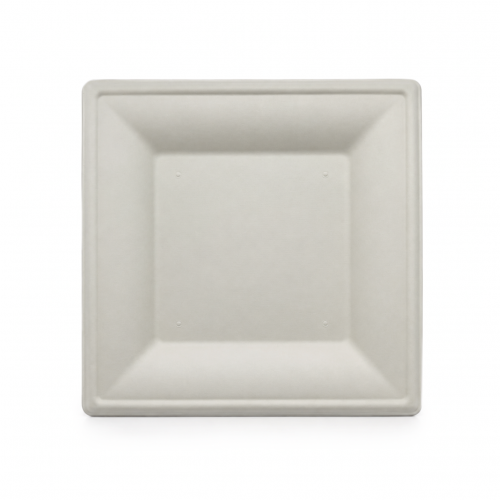 Biodegradable Squared Plate...