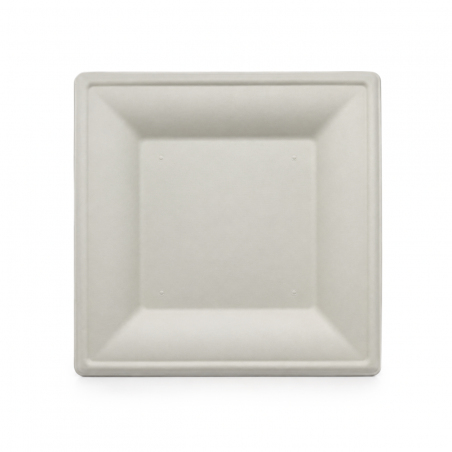 Biodegradable Squared Plate No. 8 * 20 pcs