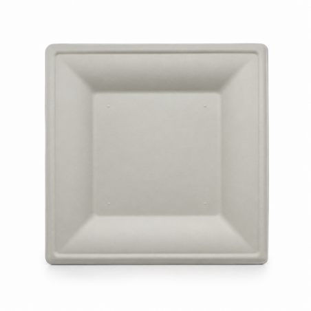 Biodegradable Squared Plate No. 10 * 20 pcs