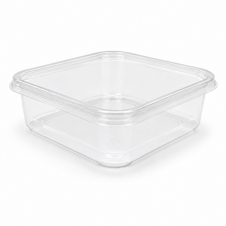 Squared Transparent Container LRQ 68 * 10 pcs