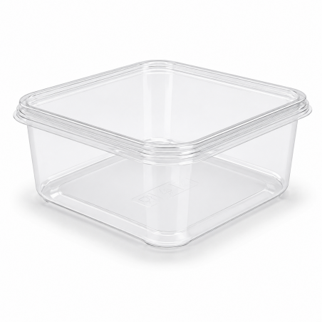 Squared Transparent Container LRQ 100 * 10 pcs