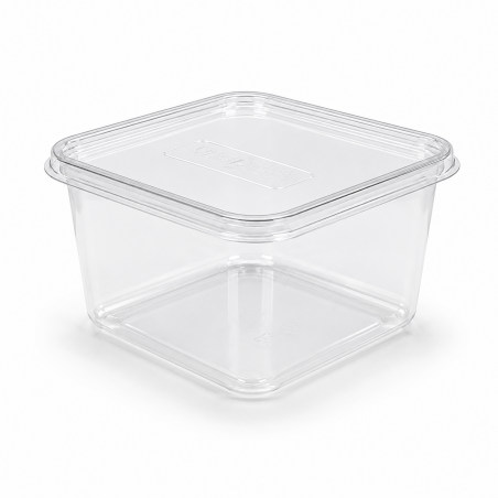 Squared Transparent Container SMQ 48 * 10 pcs