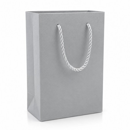 Carton Bag 19×13×9 (12 pcs)