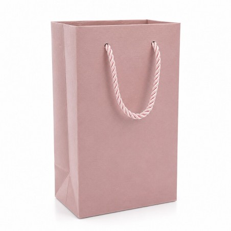 Carton Bag 19×13×9 (12 pcs)