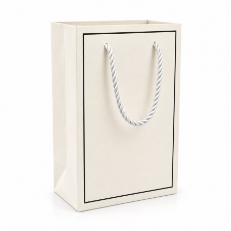 Carton Bag 19×13×9 (12 pcs)