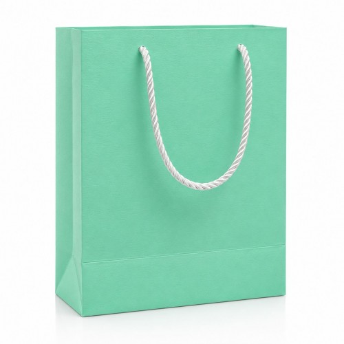 Carton Bag 24.5×19.5×11 (12...