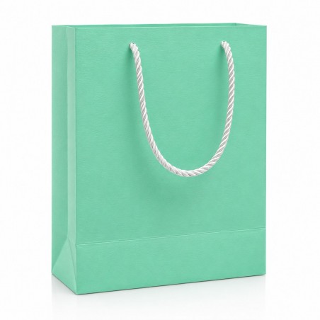 Carton Bag 24.5×19.5×11 (12 pcs)