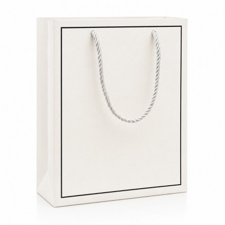 Carton Bag 24.5×19.5×11 (12 pcs)