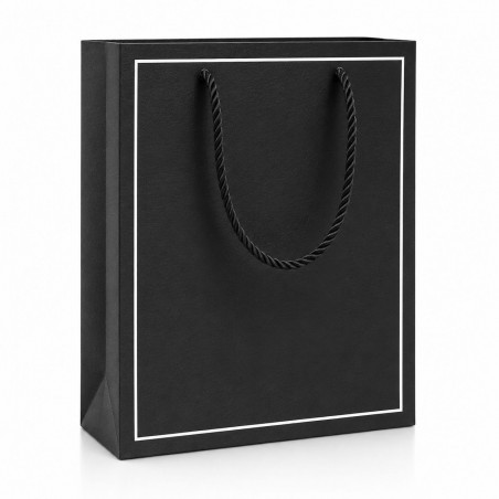 Carton Bag 24.5×19.5×11 (12 pcs)