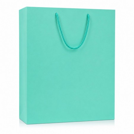 Carton Bag 40×30×12 (12 pcs)