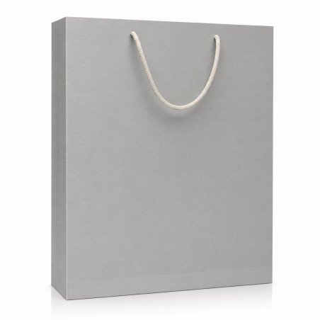 Carton Bag 45×33×10 (12 pcs)