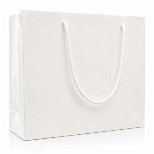 Carton Bag with Silver...