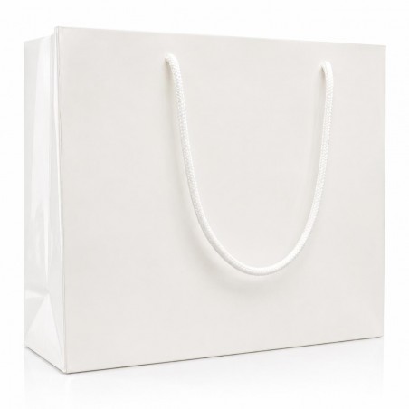Carton Bag with Silver Handle M (1-8)