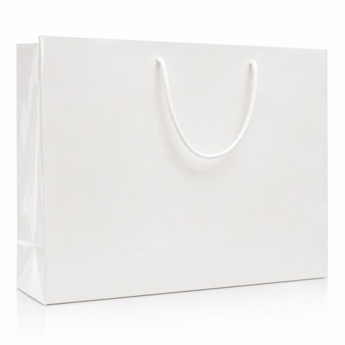 Carton Bag with Silver...