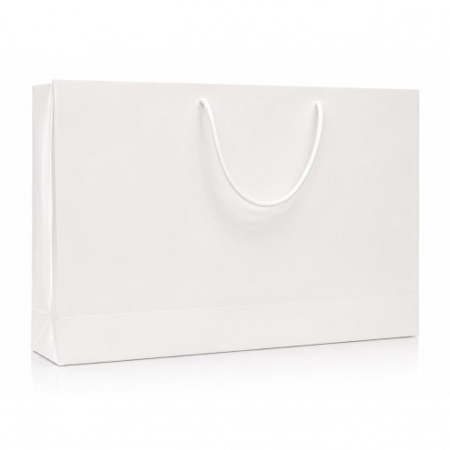 Carton Bag with Silver...