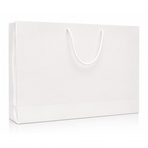 Carton Bag with Silver...