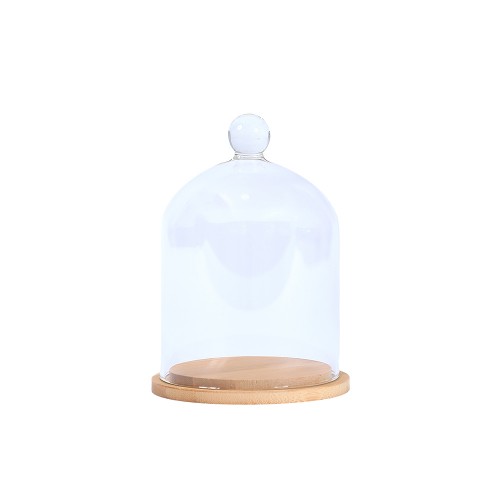 Cake jar DG 1660