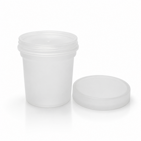 Ice Cream Container Frosted 500 ML