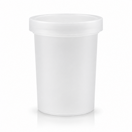 Ice Cream Container Frosted 700 ML