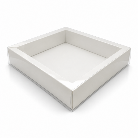 Drawer Box Transparent Lid 25*25*5 cm